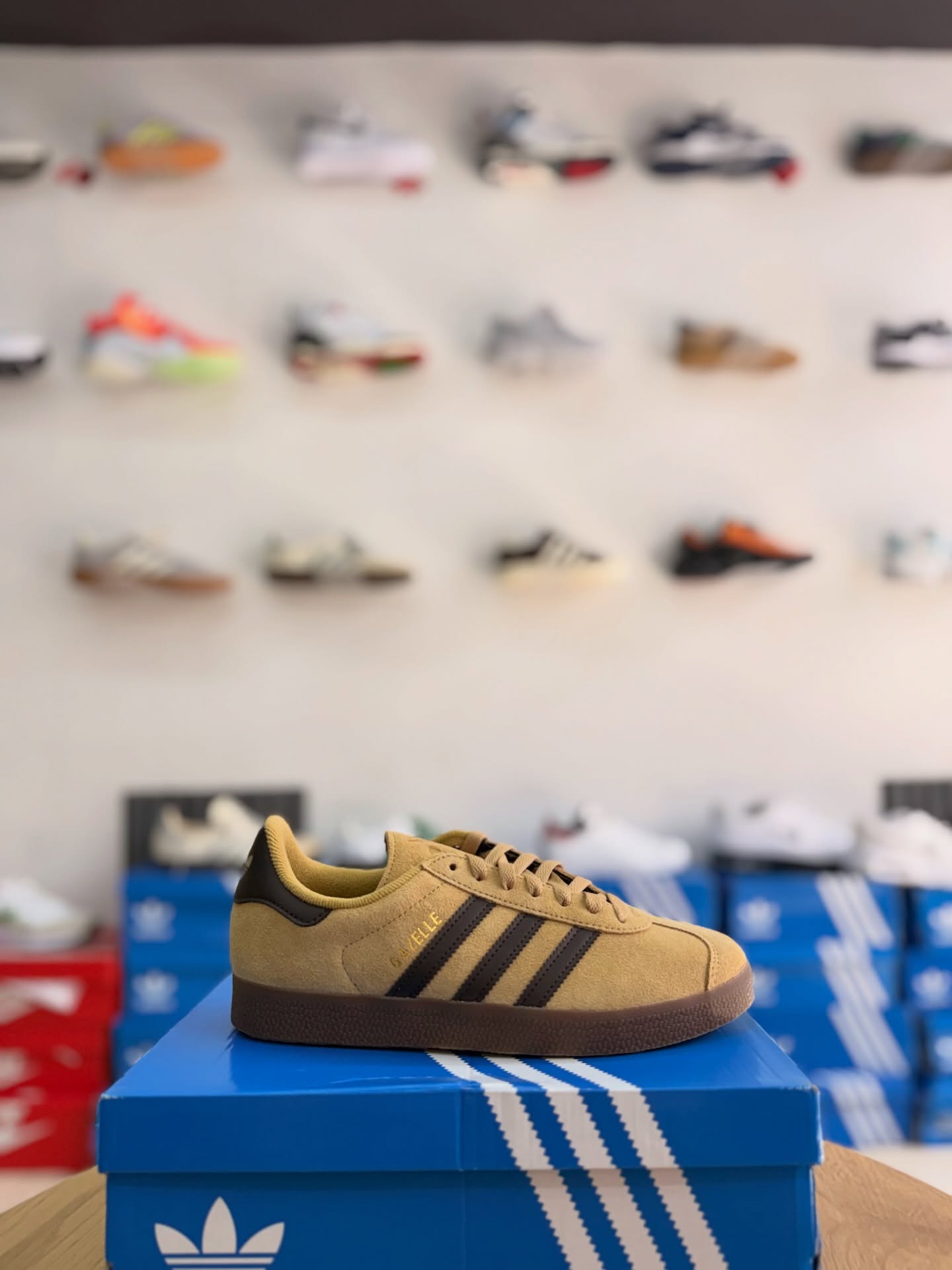 adidas Gazelle – Cardboard/Dark Brown